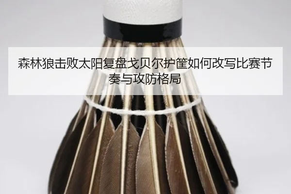 森林狼击败太阳复盘戈贝尔护筐如何改写比赛节奏与攻防格局
